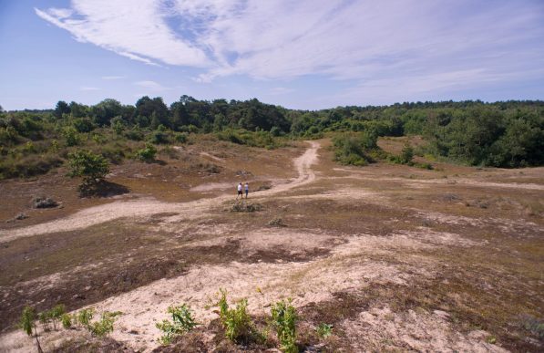 espace naturel Baie de Somme 8