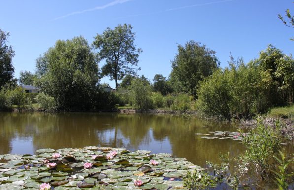 etangs-de-pêche-camping-quend